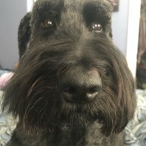 Meet your Posher, Tammi